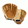 Mizuno Franchise Baseball 12" Glove (GFN1200B4)