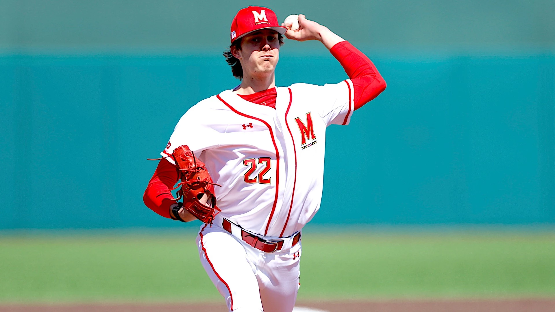 Outlet Bats Store -Outlet Bats Store 7