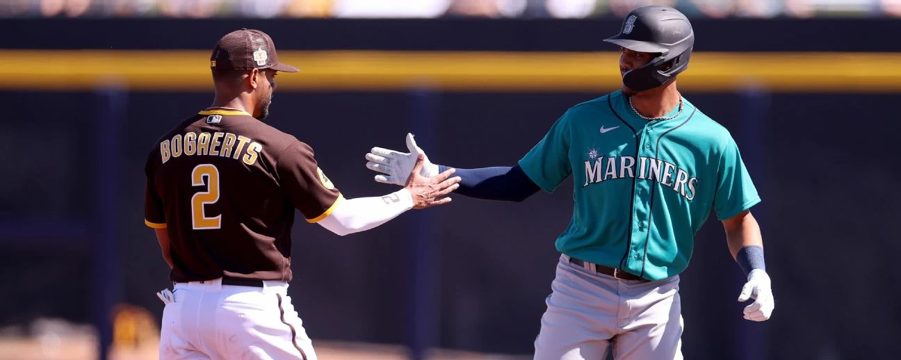 Outlet Bats Store -Outlet Bats Store 9